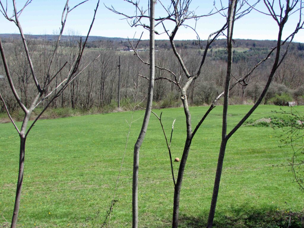 “SERENITY NOW” 37.6 Sprawling Acres, Broome County NY – Home-site cleared – Stream – Mt views – Electric – 3/hrs/NYC – Only $99K